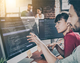 Wordpress Development