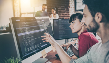 Wordpress Development