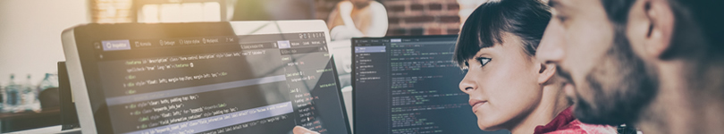 Wordpress_Development_inner