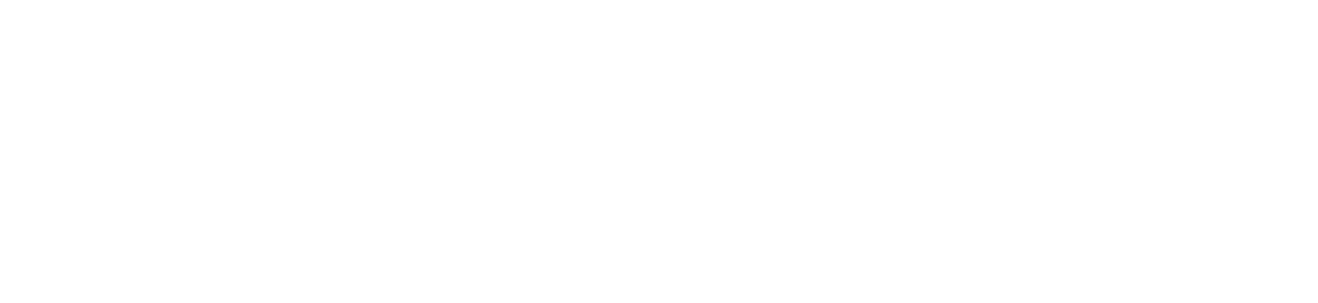 eCommerce Developer Houston,Texas